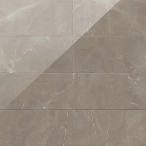 Leona 12 x 24 Polished Porcelain Tile in Amani Bronze
