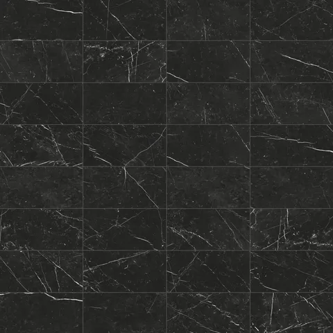 Leona 12 x 24 Polished Porcelain Tile in Nero Marquina