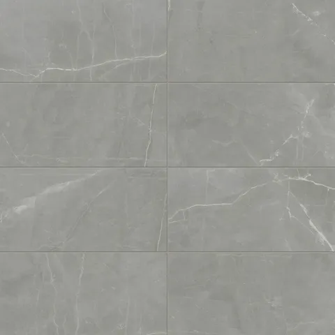 Leona 12 x 24 Matte Porcelain Tile in Amani Grey