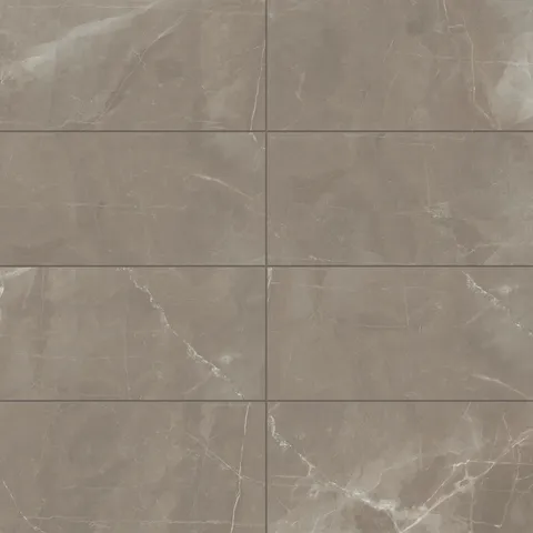 Leona 12 x 24 Matte Porcelain Tile in Amani Bronze