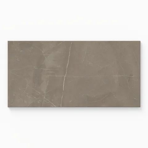 Leona 12 x 24 Matte Porcelain Tile in Amani Bronze