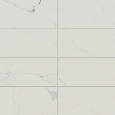 Leona 12 x 24 Matte Porcelain Tile in Calacatta