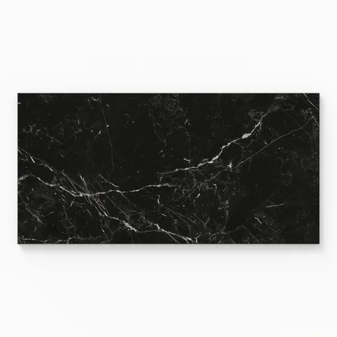 Leona 12 x 24 Matte Porcelain Tile in Nero Marquina