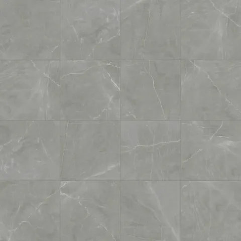 Leona 24 x 24 Polished Porcelain Tile in Amani Grey