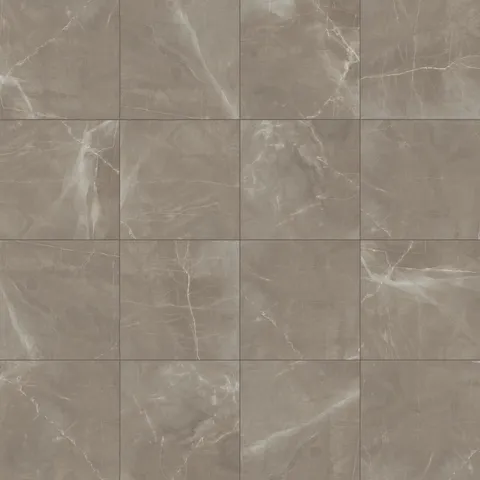 Leona 24 x 24 Polished Porcelain Tile in Amani Bronze