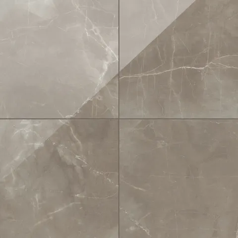 Leona 24 x 24 Polished Porcelain Tile in Amani Bronze