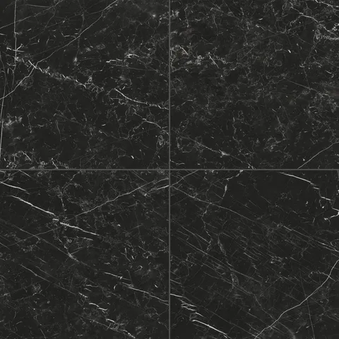 Leona 24 x 24 Matte Porcelain Tile in Nero Marquina