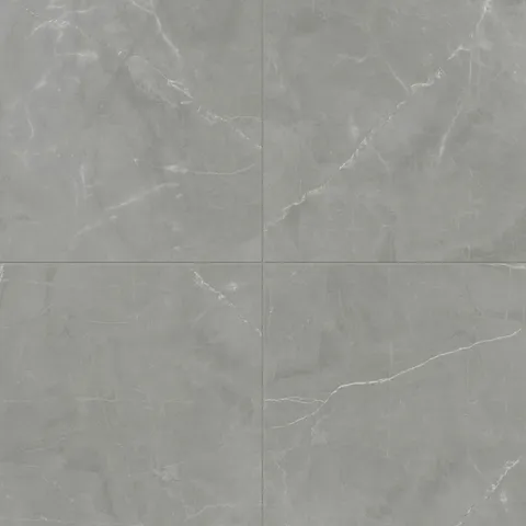 Leona 24 x 24 Matte Porcelain Tile in Amani Grey