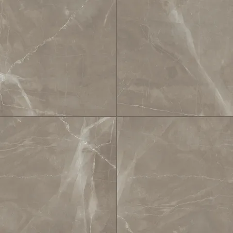 Leona 24 x 24 Matte Porcelain Tile in Amani Bronze
