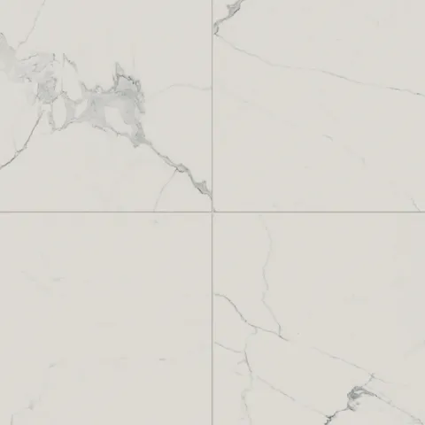 Leona 24 x 24 Matte Porcelain Tile in Calacatta
