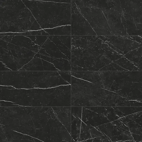 Leona 24 x 48 Polished Porcelain Tile in Nero Marquina
