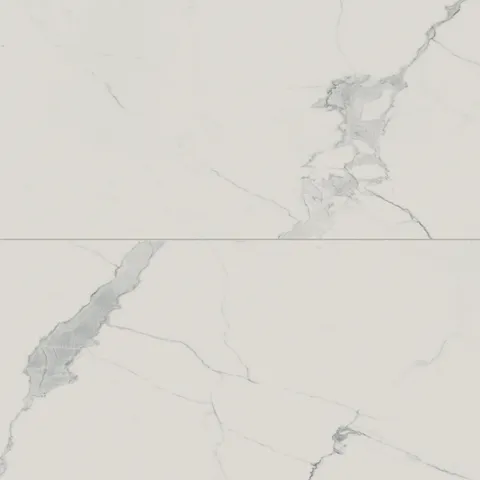Leona 24 x 48 Matte Porcelain Tile in Calacatta