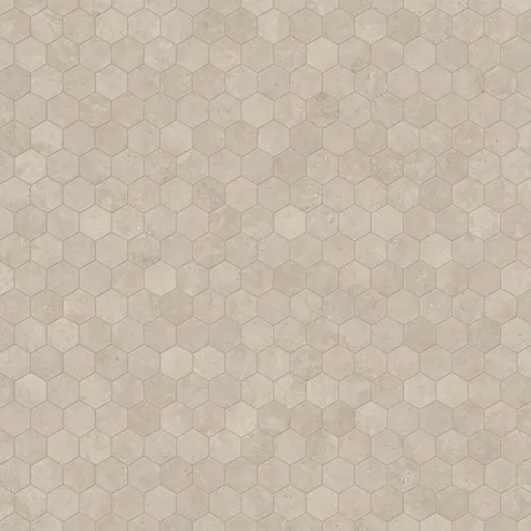Leona 3 x 3 Polished Porcelain Hexagon Mosaic Tile in Marfil