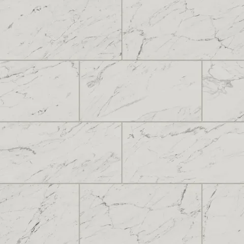 Blair 12 x 24 Matte Porcelain Tile in White Carrara
