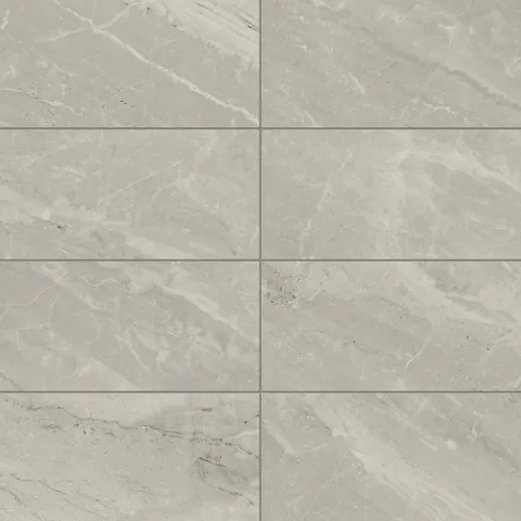 Blair 12 x 24 Matte Porcelain Tile in Oniciata Beige
