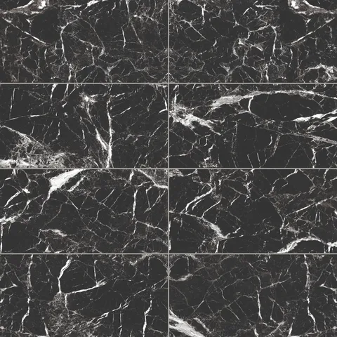 Blair 12 x 24 Matte Porcelain Tile in Marmo Black
