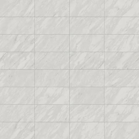 Blair 12 x 24 Polished Porcelain Tile in Volakas White