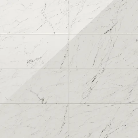 Blair 12 x 24 Polished Porcelain Tile in White Carrara
