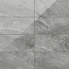 Oniciata Grey