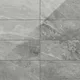 Oniciata Grey