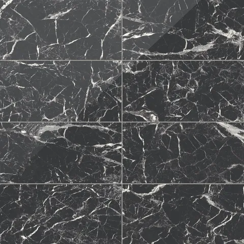 Blair 12 x 24 Polished Porcelain Tile in Marmo Black