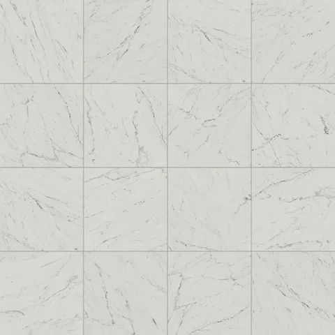 Blair 24 x 24 Matte Porcelain Tile in White Carrara