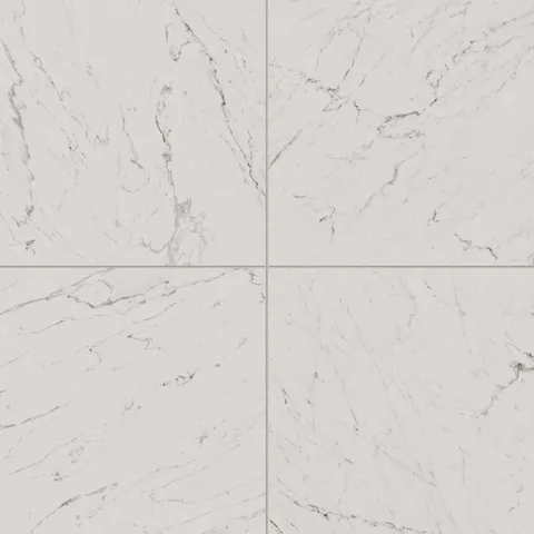 Blair 24 x 24 Matte Porcelain Tile in White Carrara