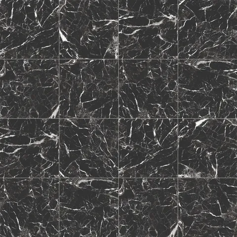 Blair 24 x 24 Matte Porcelain Tile in Marmo Black