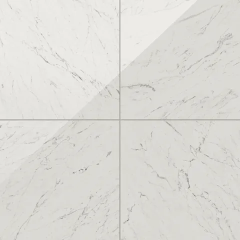 Blair 24 x 24 Polished Porcelain Tile in White Carrara
