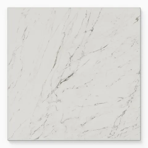 Blair 24 x 24 Polished Porcelain Tile in White Carrara