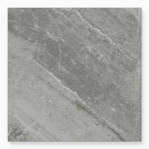 Blair 24 x 24 Polished Porcelain Tile in Oniciata Grey