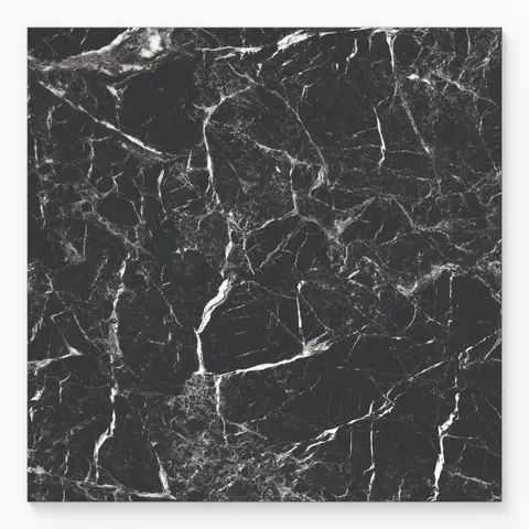 Blair 24 x 24 Polished Porcelain Tile in Marmo Black