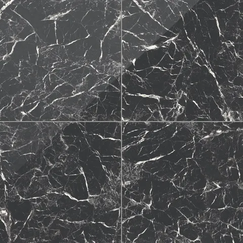 Blair 24 x 24 Polished Porcelain Tile in Marmo Black