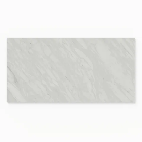 Blair 24 x 48 Matte Porcelain Tile in Volakas White
