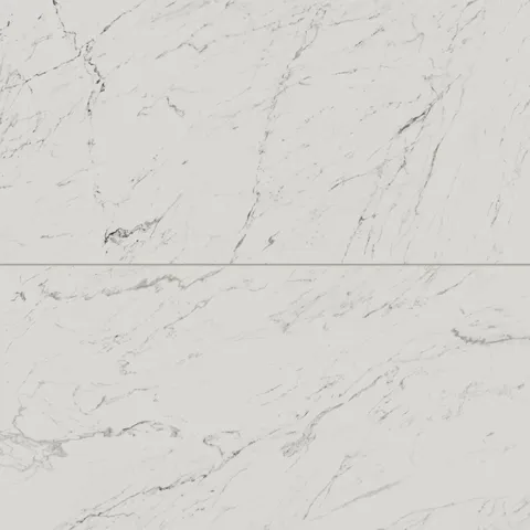 Blair 24 x 48 Matte Porcelain Tile in White Carrara
