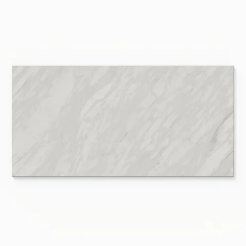 Blair 24 x 48 Polished Porcelain Tile in Volakas White