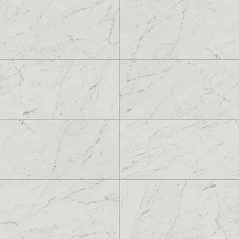 Blair 24 x 48 Polished Porcelain Tile in White Carrara