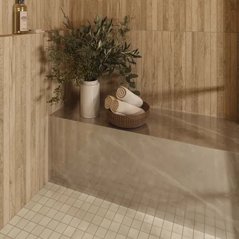 Blair 24 x 48 Polished Porcelain Tile in Oniciata Beige