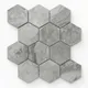 Oniciata Grey