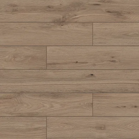 Evocative portrayal of the Pine shade in Preston's wood-look porcelain planks, mirroring the serenity of forest timber.