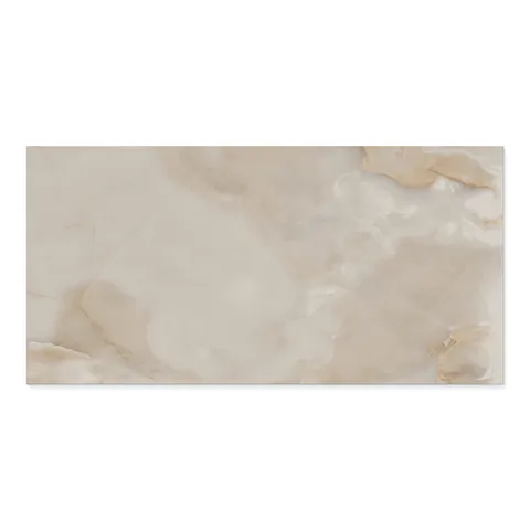 Astrid 24 x 48 Polished Porcelain Tile in Beige
