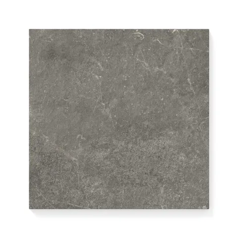 Wesley 12 x 12 Matte Porcelain Tile in Charcoal