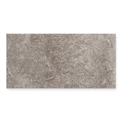 Wesley 12 x 24 Matte Porcelain Tile in Taupe