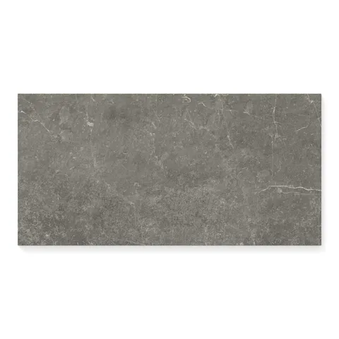 Wesley 12 x 24 Matte Porcelain Tile in Charcoal