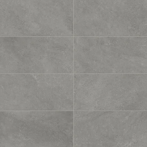 Shea 12 x 24 Matte Porcelain Tile in Storm Grey