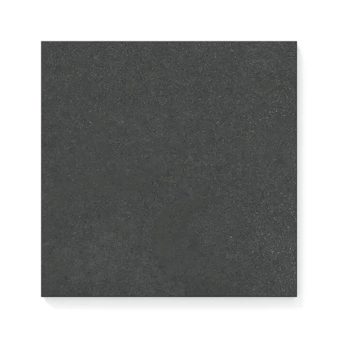 Palmer 12 x 12 Matte Porcelain Tile in Nero