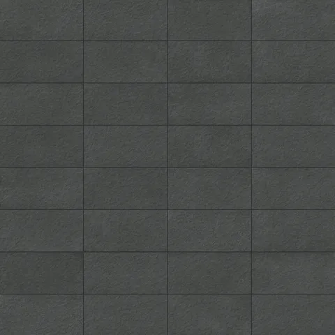 Palmer 12 x 24 Raw Porcelain Tile in Nero