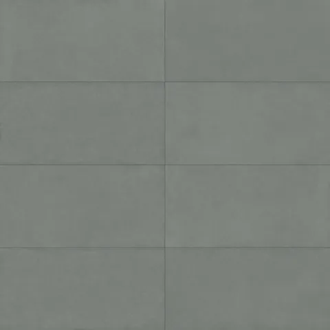 Palmer 24 x 48 Matte Porcelain Tile in Sage