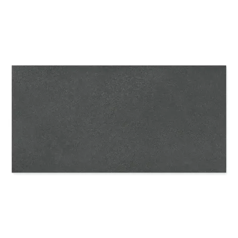 Palmer 24 x 48 Matte Porcelain Tile in Nero