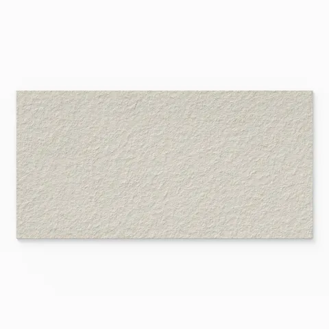 Palmer 24 x 48 Raw Porcelain Tile in White